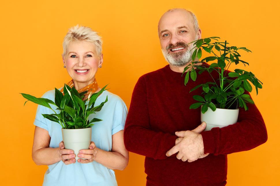 Free Image of Handsome senior male growing decorative house plants together with his beautiful wife, setting green flowers into new pots. Beauty, nature, botany, gardening, care, freshness and people concept 