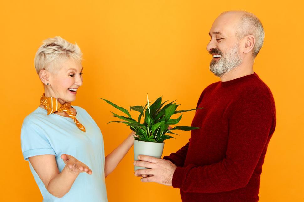 Free Image of Cheerful handsome senior man in shirt and vest holding pot giving houseplant to his attractive wife on birthday. Happy retired male and female cultivating flowers together at home, posing isolated 