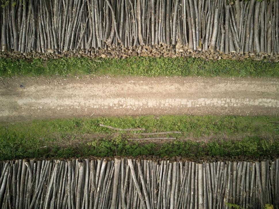 Free Image of Aerial shot of logs lined along a dirt path 