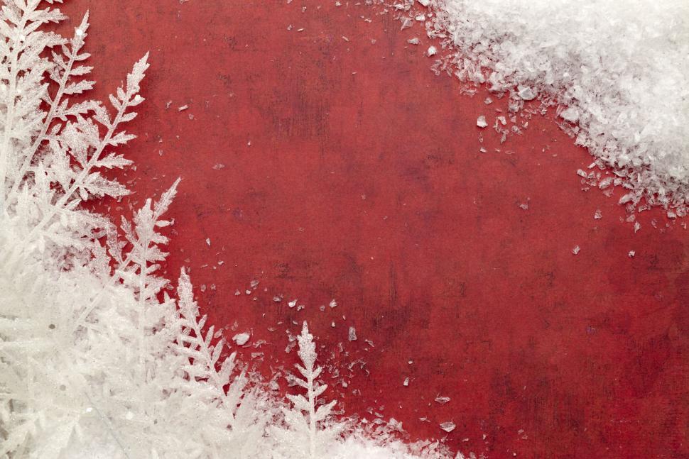 Free Image of Red background with snow and white ferns, abstract theme 