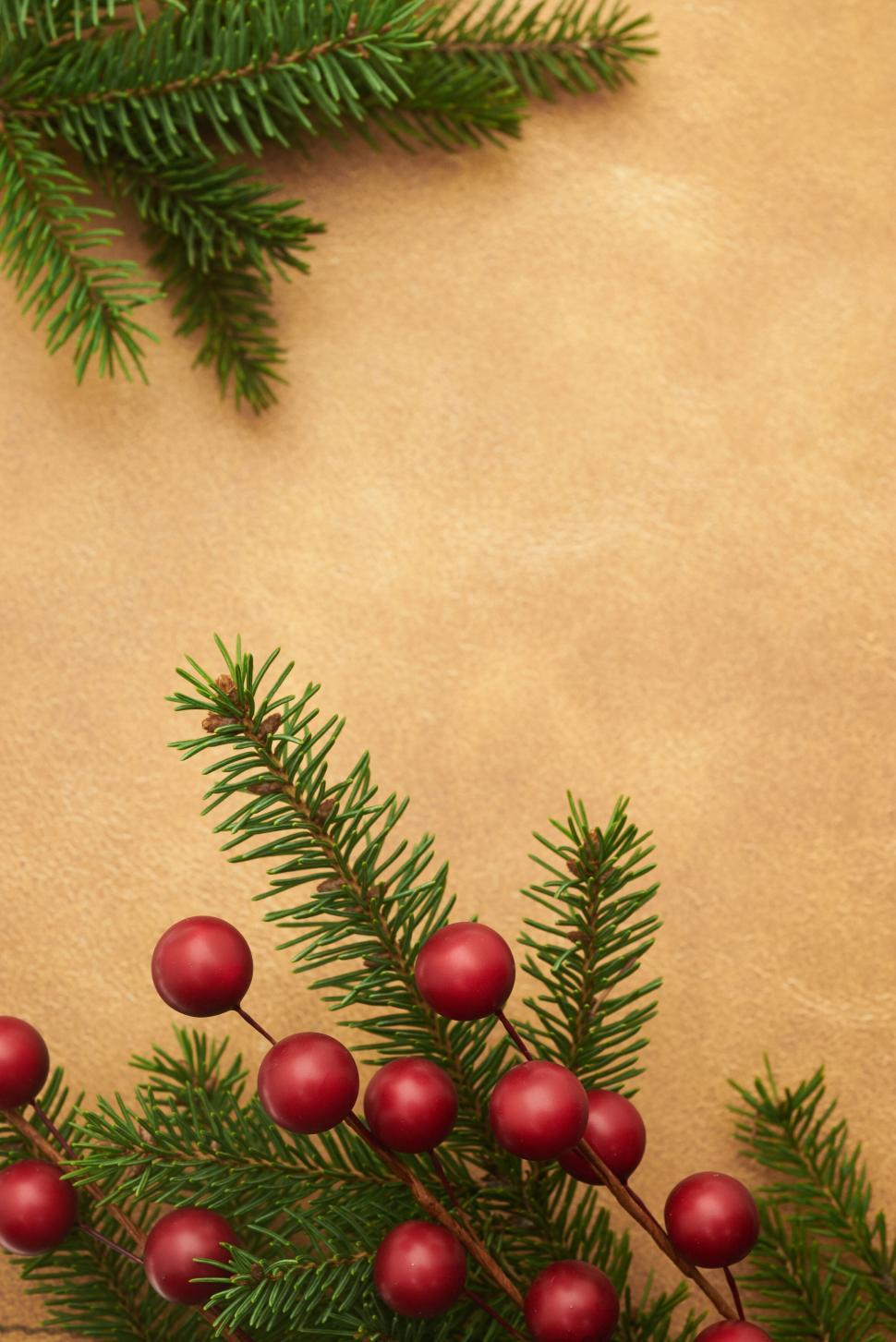Free Image of Festive pine branches with red berries on tan background 