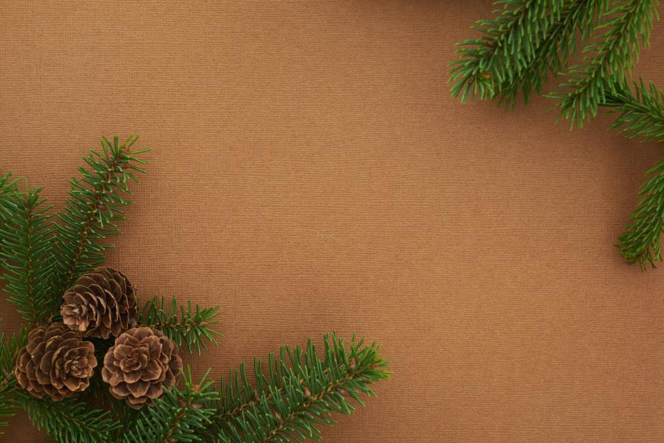 Free Image of Brown paper background with pine cones and sprigs 