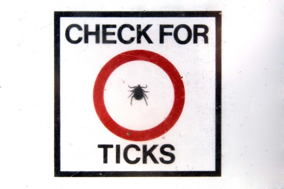 Free Image of Check for Ticks 