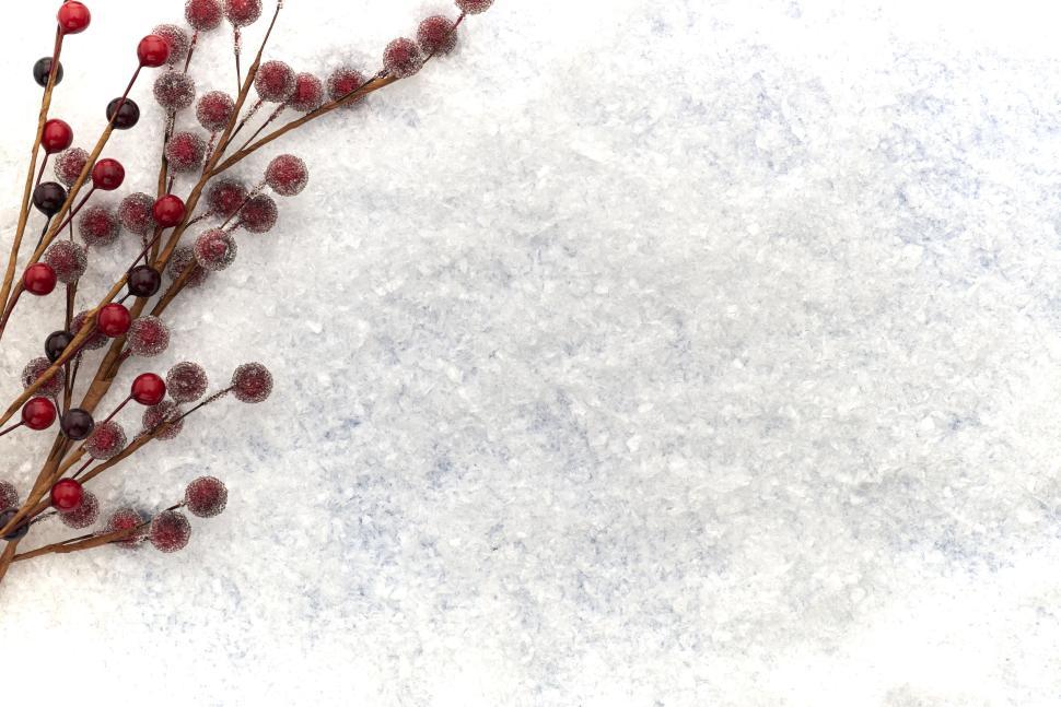 Free Image of Frosted red berries on snowy backdrop creating winter feel 