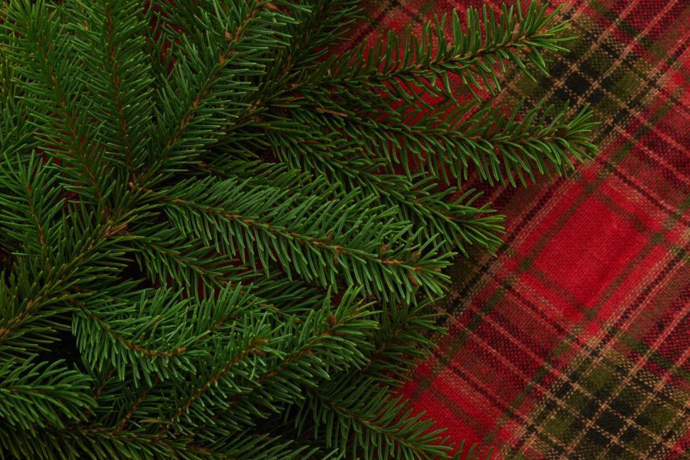 Free Image of Fir tree branches on checkered red and green fabric 