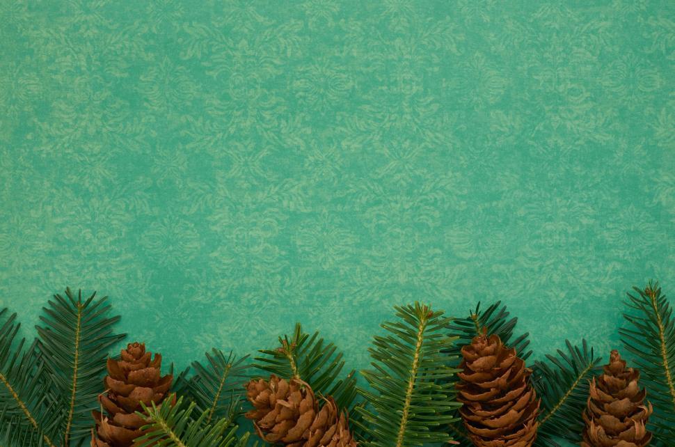 Free Image of Pinecones and evergreen needles on patterned green 
