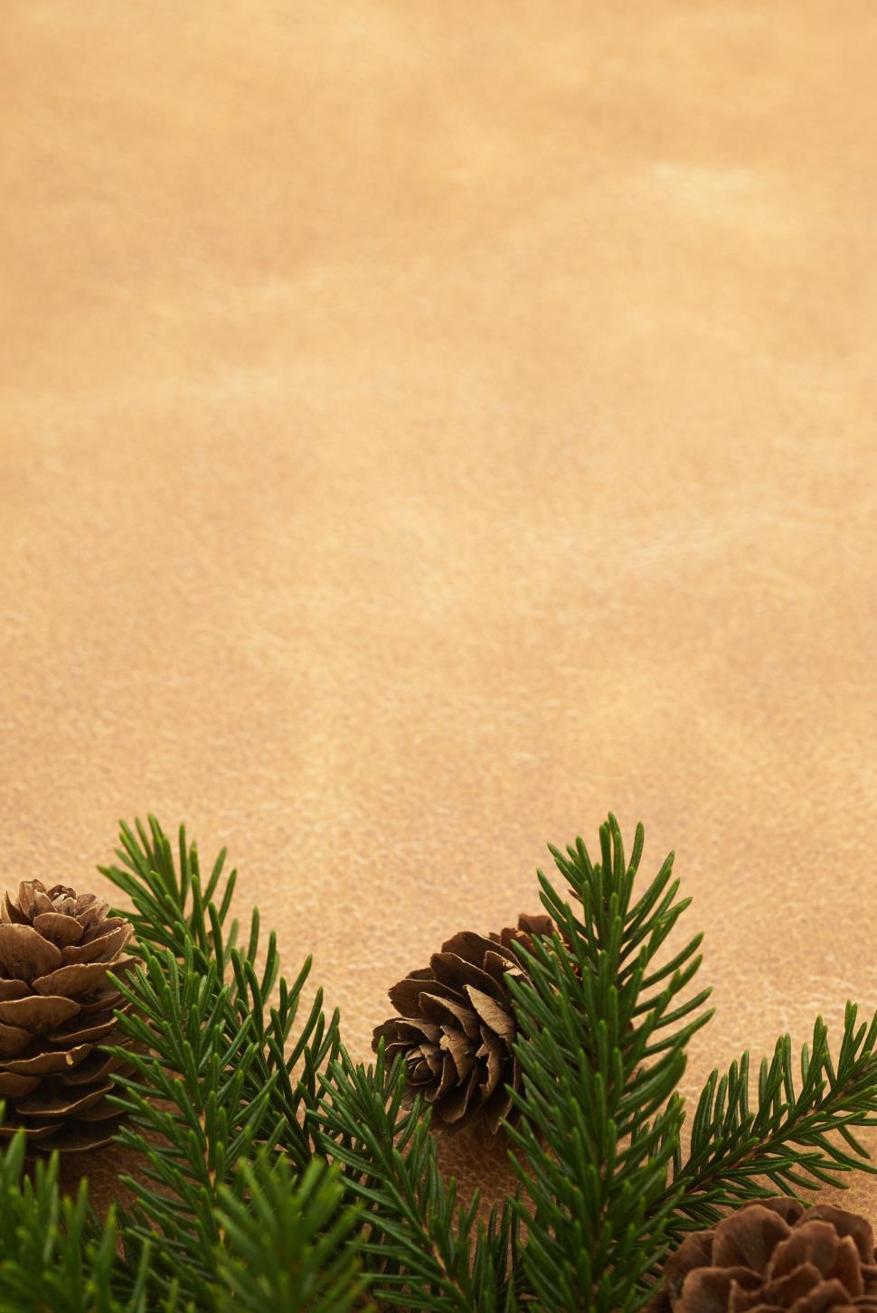 Free Image of Pine cones and needles on a textured brown surface 