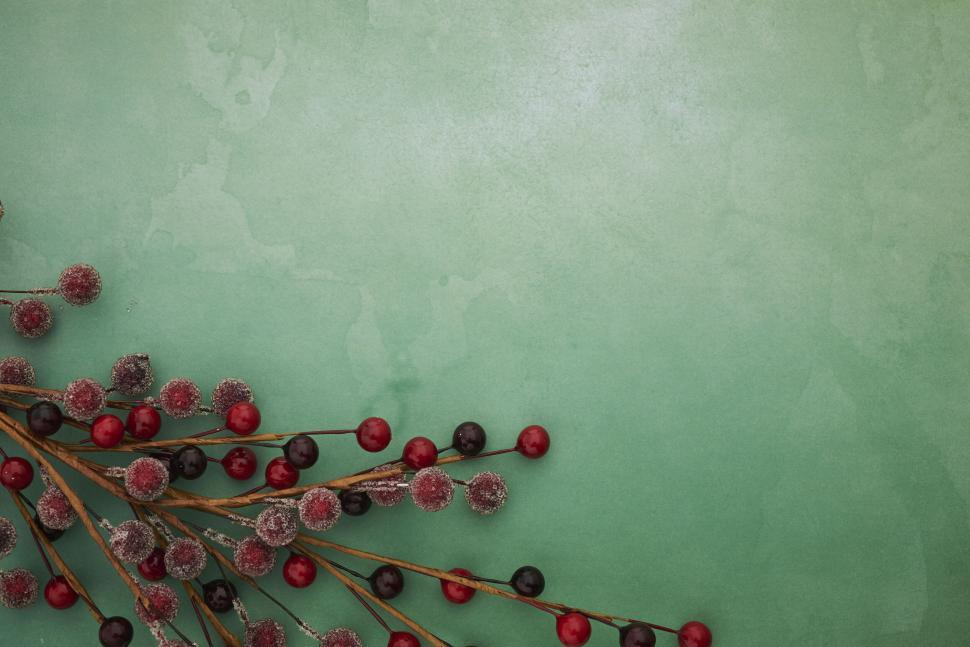 Free Image of Red and black berries on a green textured background 