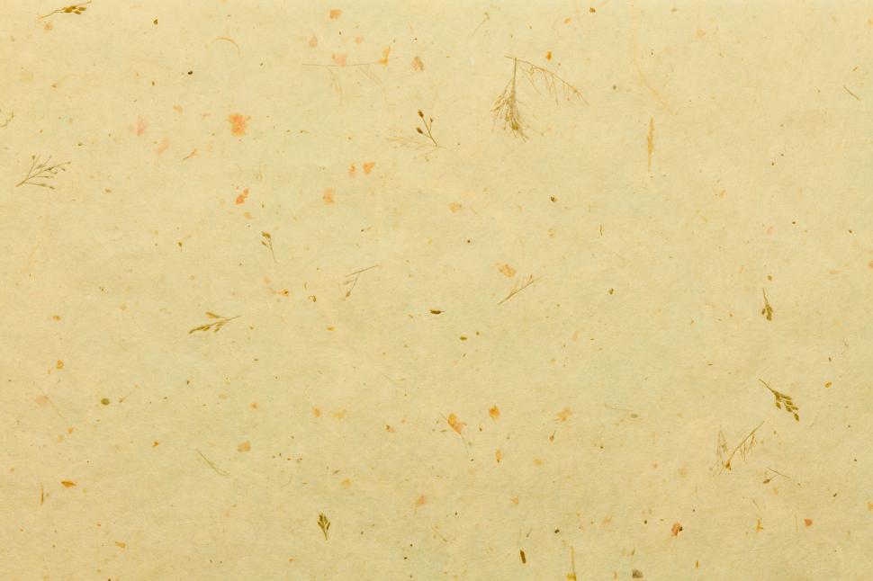 Free Image of Textured beige paper with subtle organic inclusions 