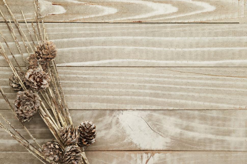 Free Image of Rustic wooden surface with pinecones and branches decor 