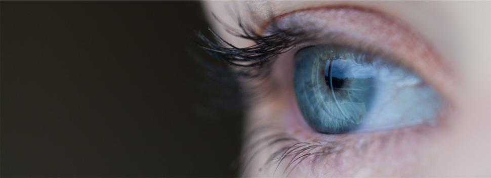 Free Image of Close-up image of a blue eye with detailed reflection 