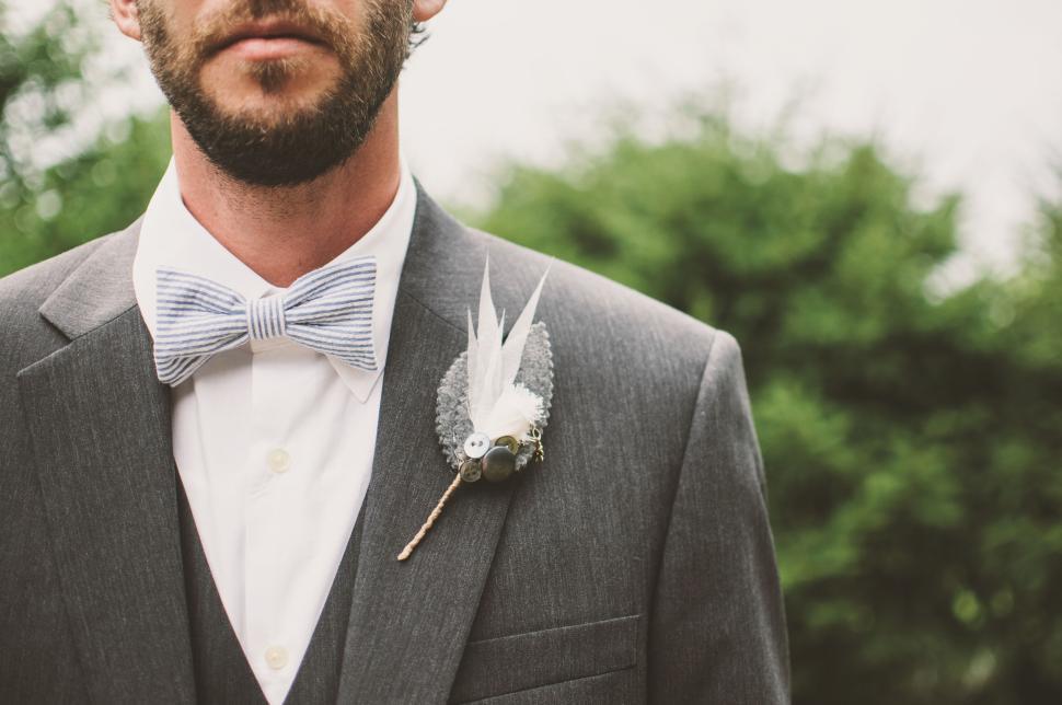 Free Image of Close up of man in gray suit with stylish bow tie 