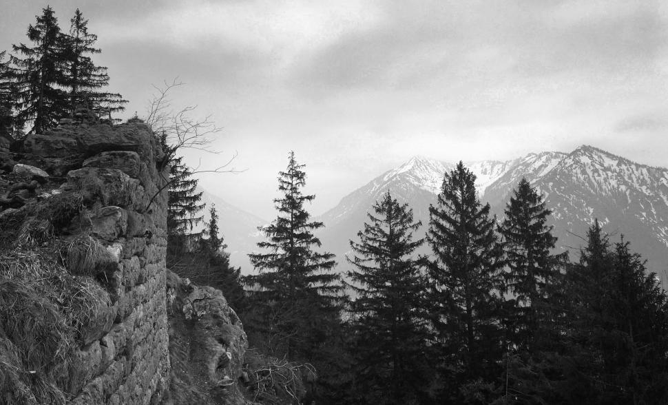 Free Image of Rocky ruins and evergreen trees with snowy mountains 