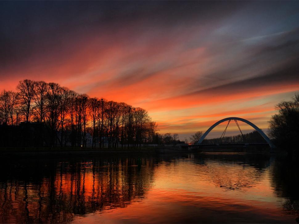 Free Image of Dramatic sunset behind trees and arched bridge. 