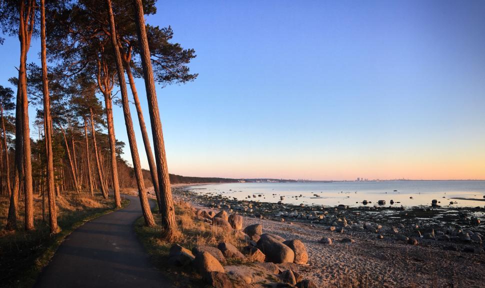 Free Image of Coastal path with trees facing the calm ocean at dusk 