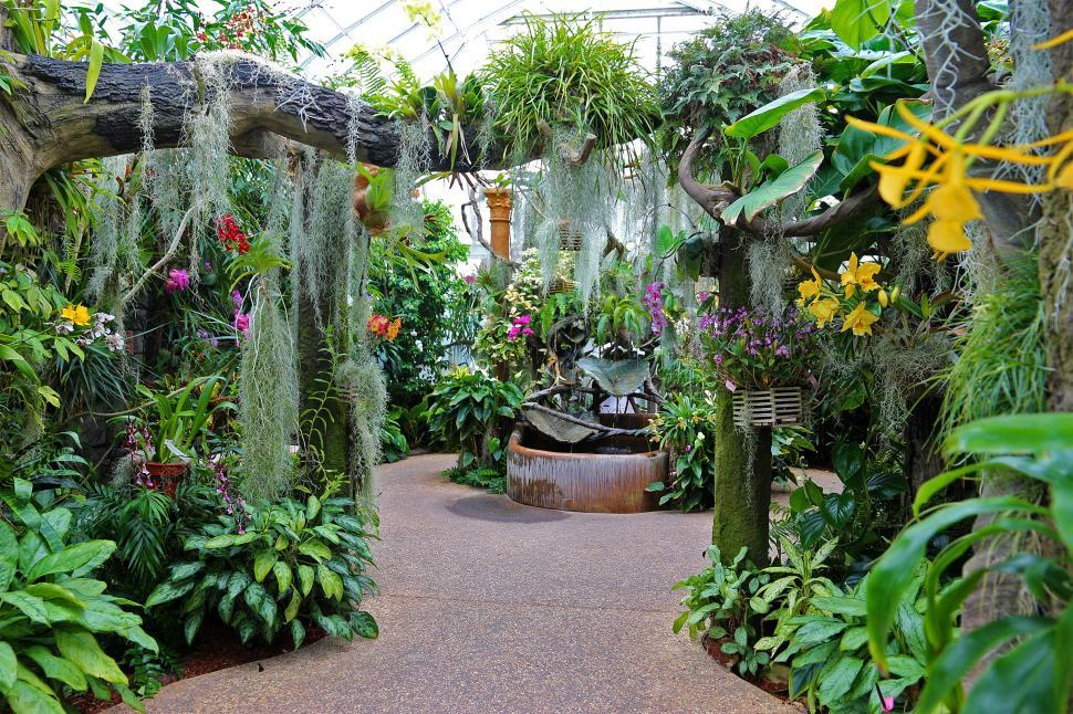 Free Image of Orchid House 