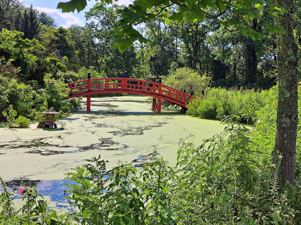 Free Image of Japanese Style Foot Bridge 