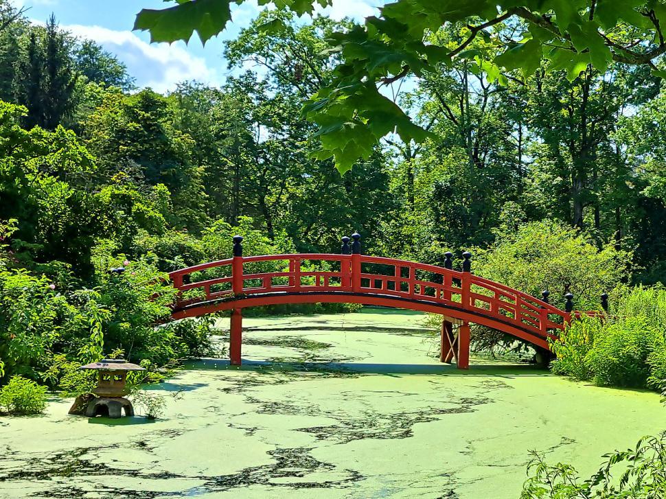 Free Image of Japanese Style Bridge 