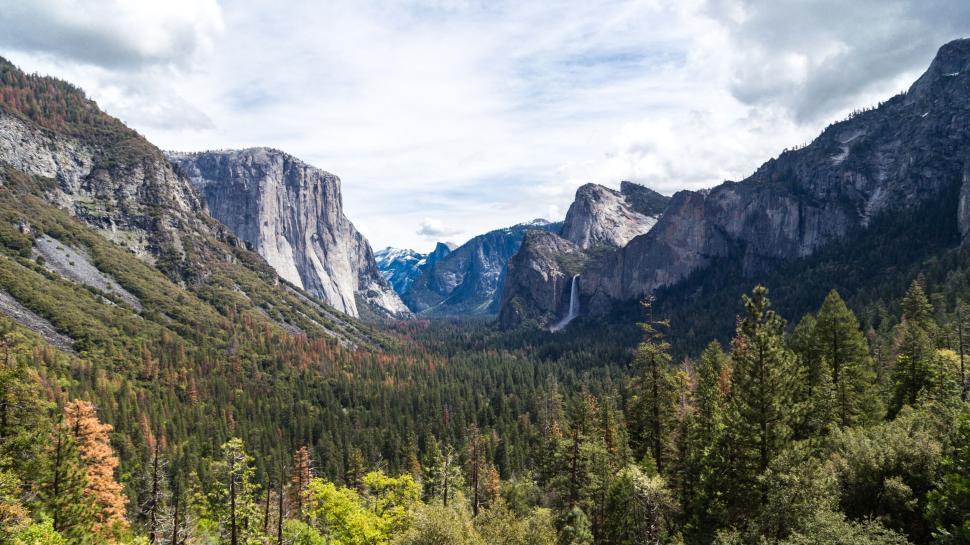 Free Image of Panoramic view of lush valley with towering cliffsides 