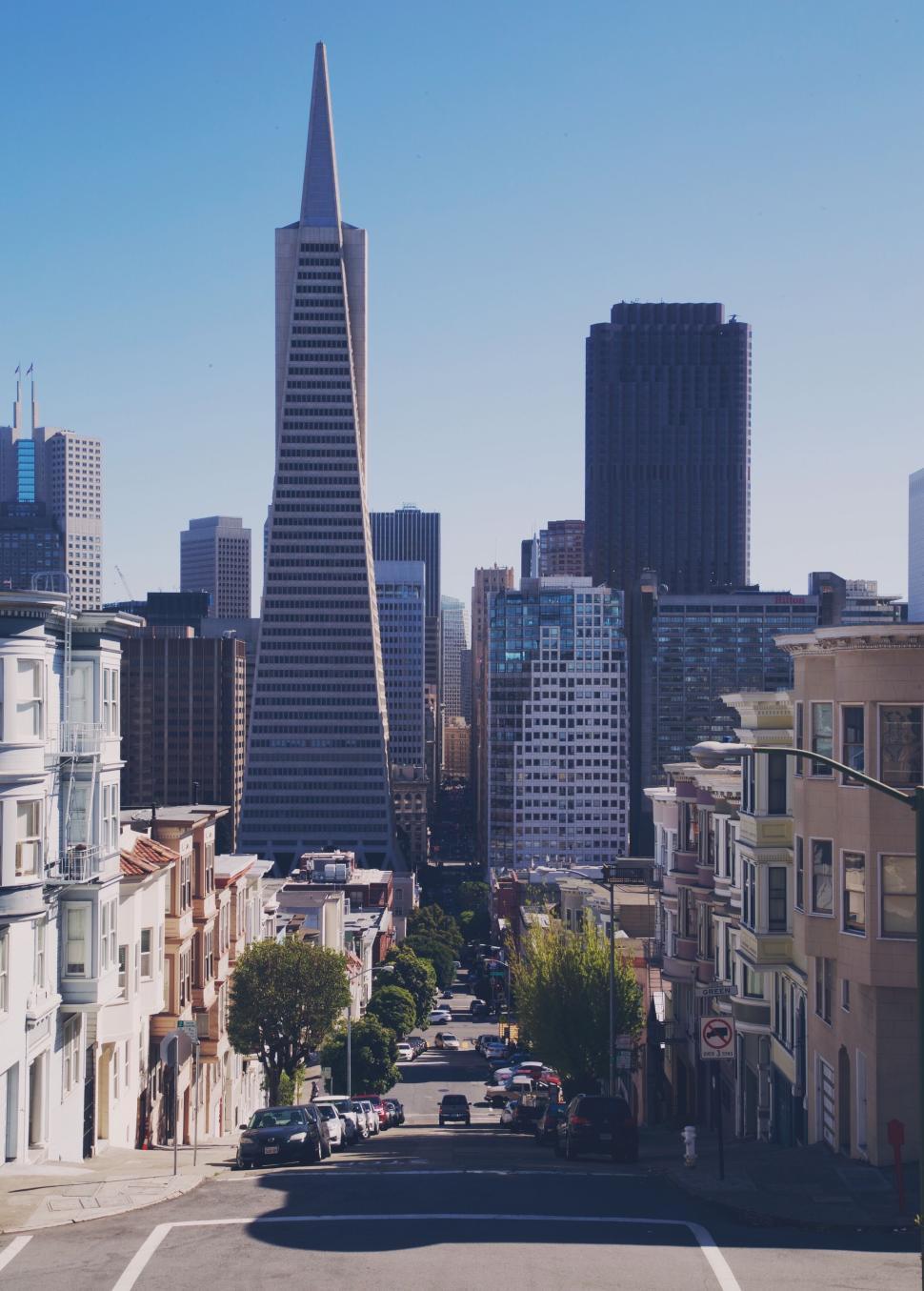 Free Image of Transamerica Pyramid and San Francisco skyline. 