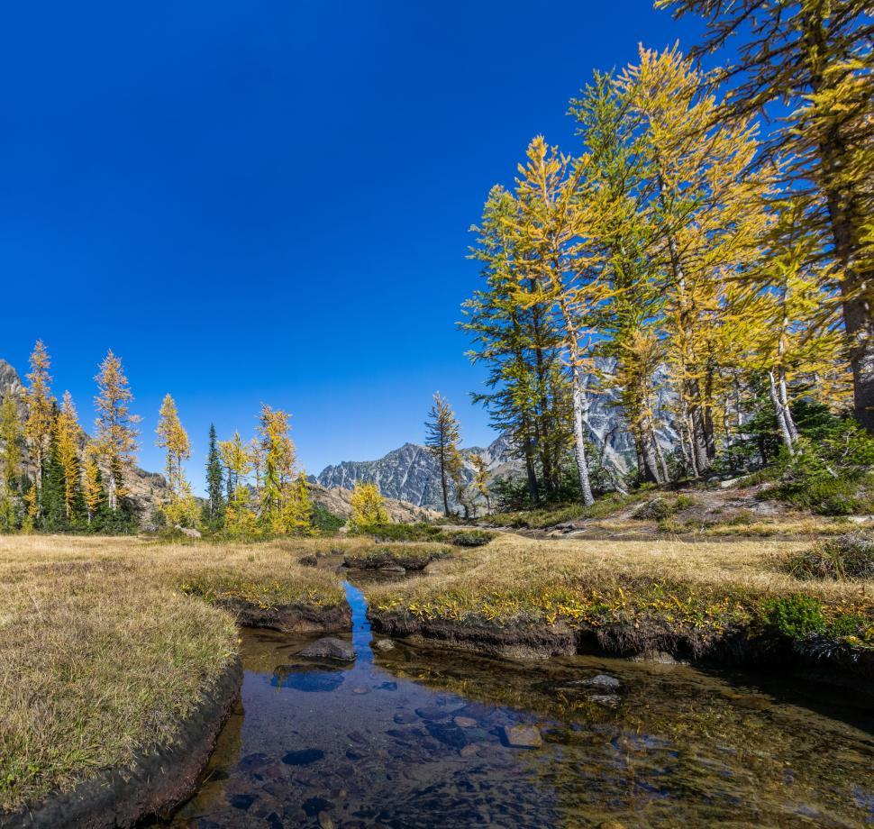 Free Image of Mountain landscape with golden autumn trees and clear sky 