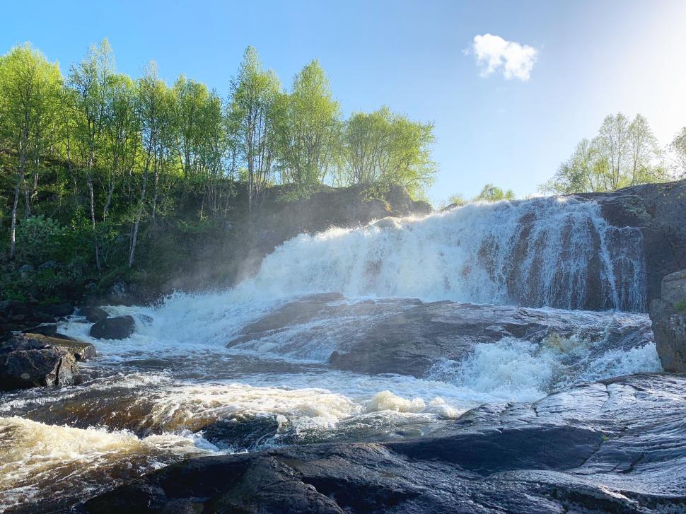 Free Image of Cascading waterfall with lush green trees 