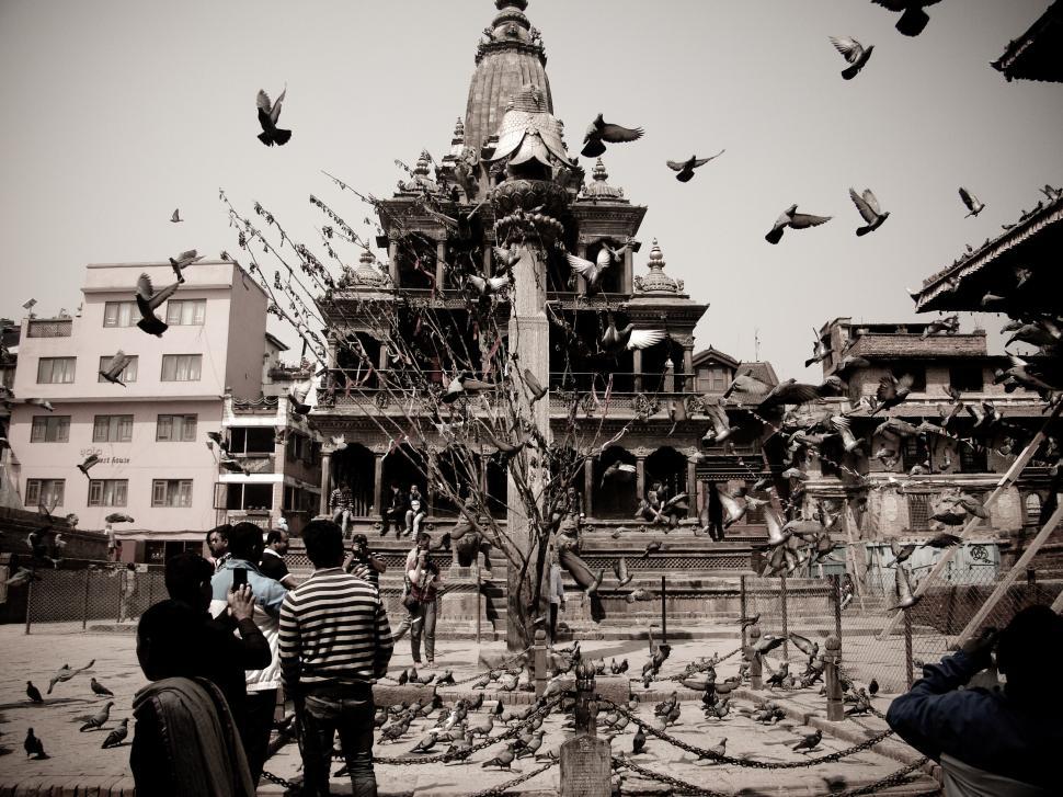 Free Image of Historical temple with pigeons flying around open square 