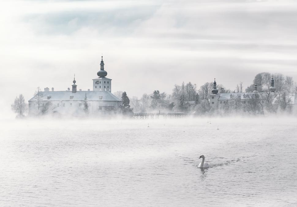 Free Image of Historic castle by a mist-covered lake with swan 