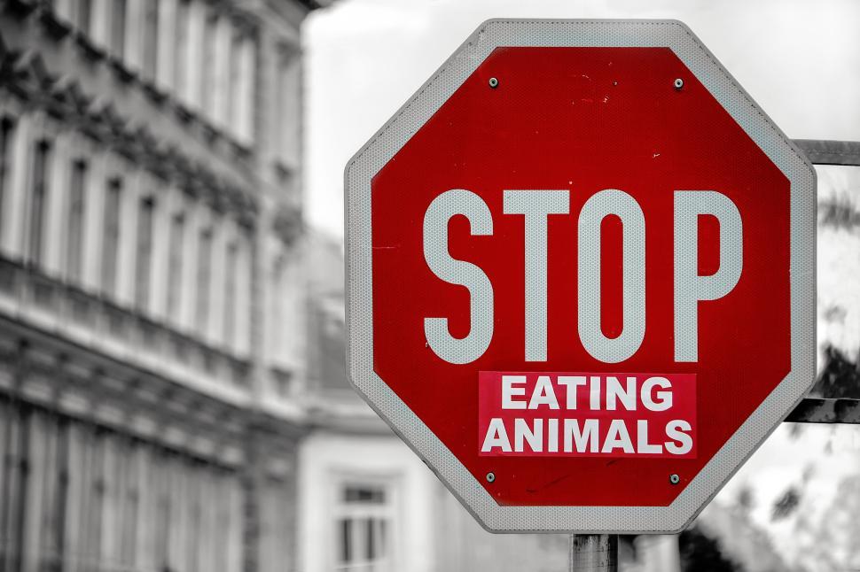 Free Image of Red stop sign with ‘Stop Eating Animals’ urban background. 