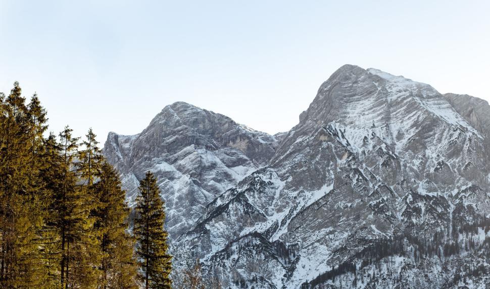 Free Image of Snowy mountain peaks with trees in the foreground view. 