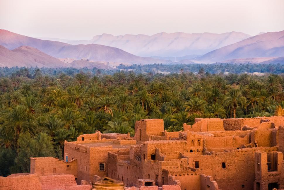 Free Image of Scenic village with palm trees and mountain backdrop 