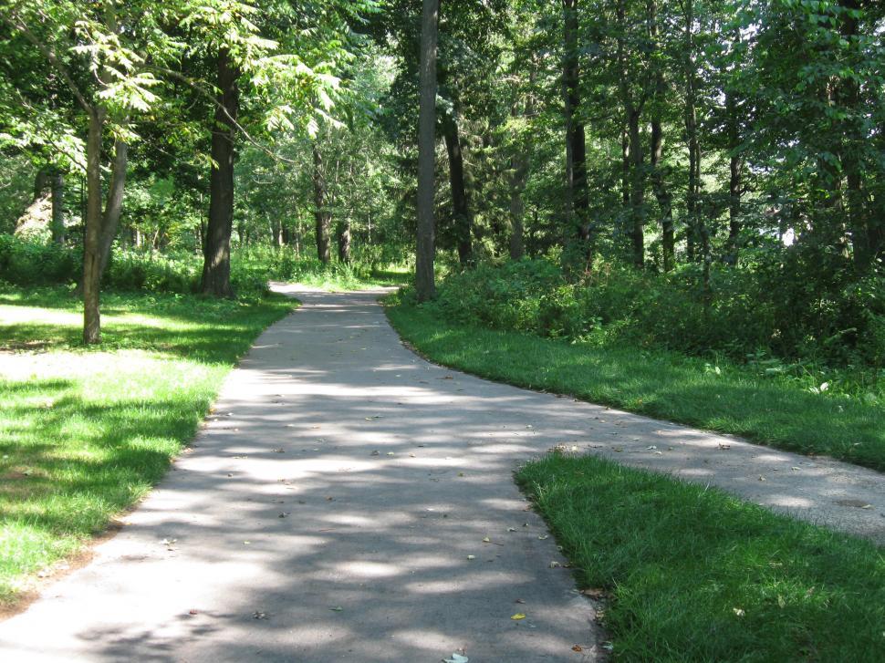Free Image of Paved Path Through Park 