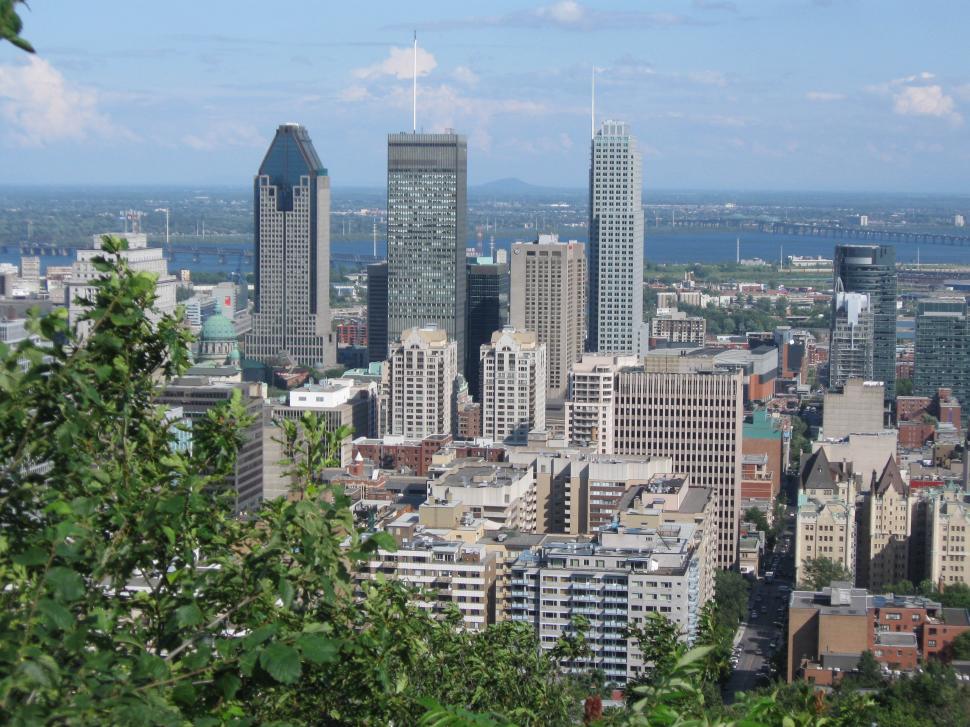 Free Image of Cityscape with River and Bridge in Background 