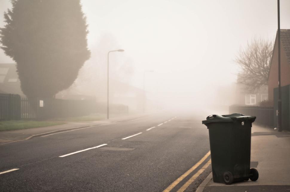 Free Image of Foggy empty street with trash bin and lined trees 