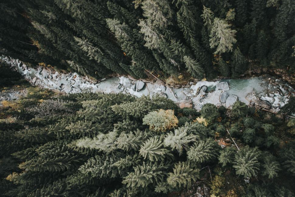 Free Image of Aerial view of dense forest with flowing river stream. 