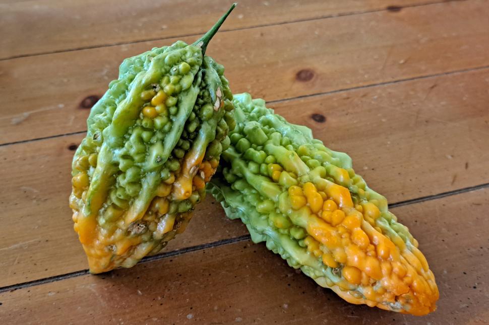 Free Image of Bitter Melon Indian Variety 