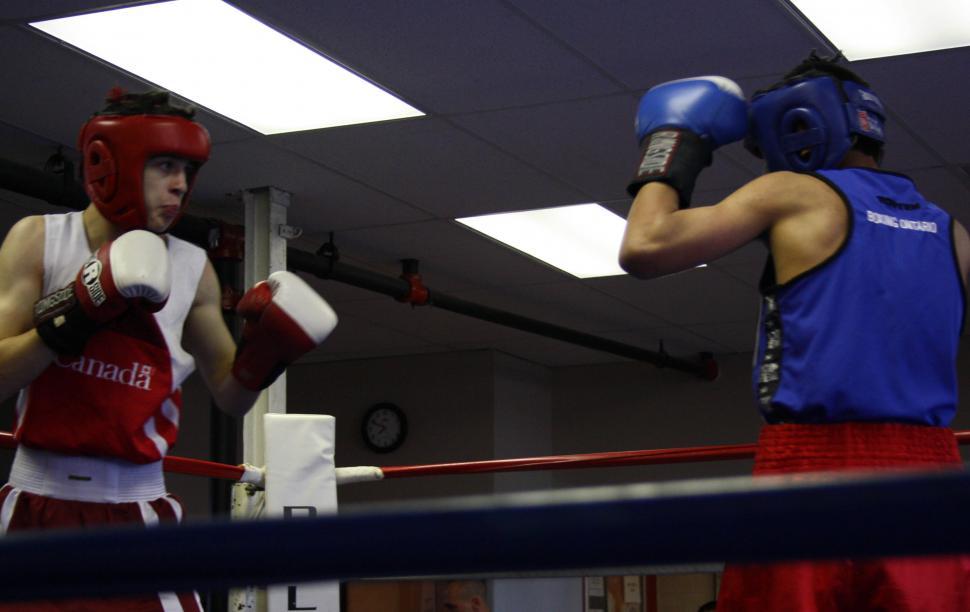 Free Image of A Midsummer Boxing Card 