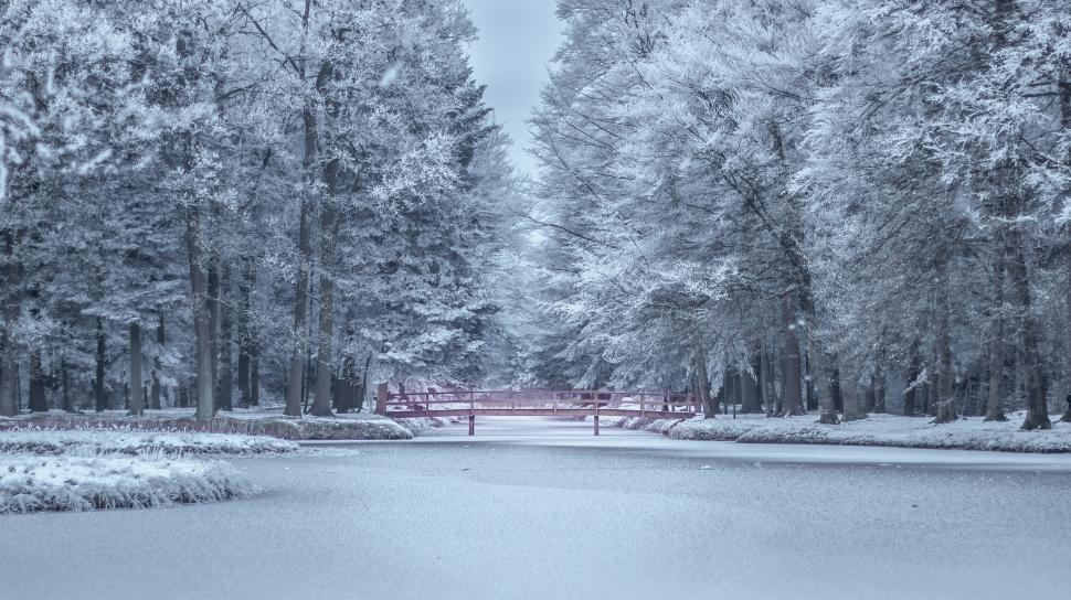 Free Image of Snow-covered trees and a red bridge on a winter day. 
