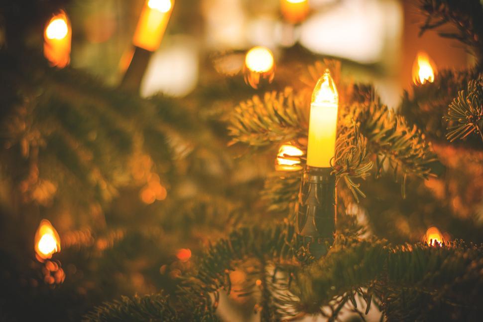 Free Image of Christmas tree lights glowing warmly in close-up view 