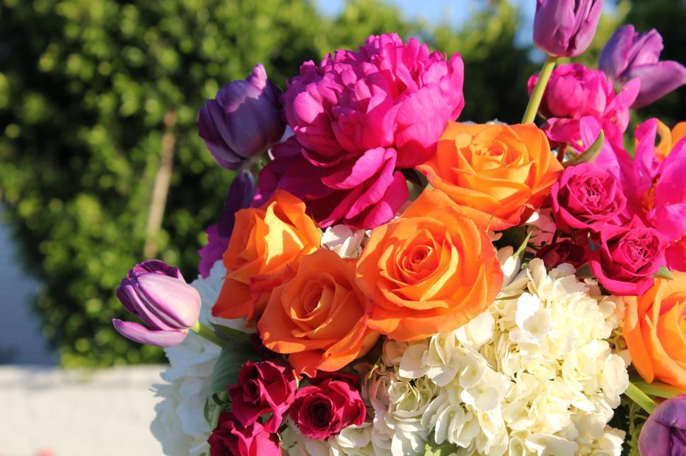 Free Image of Vivid bouquet of orange, pink, and purple flowers 