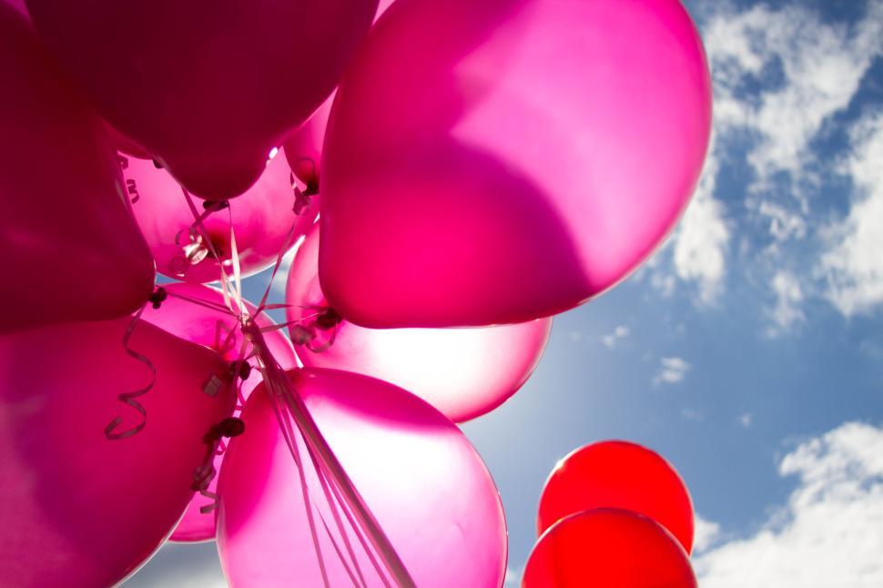 Free Image of Pink and red balloons floating under a blue sky 