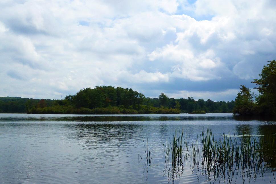Free Image of At The Edge Of Lake 