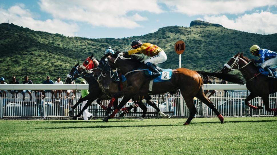 Free Image of Horse race in progress with jockeys and horses sprinting 