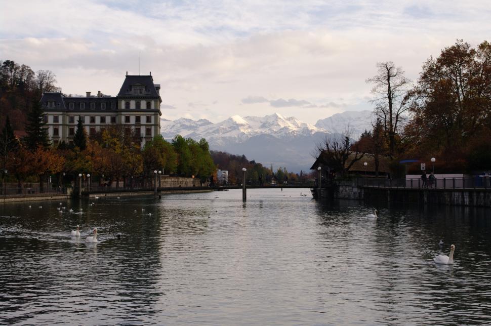 Free Image of Water Body Surrounded by Trees and Buildings 