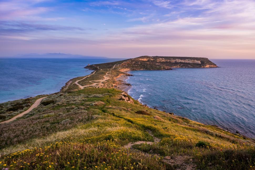 Free Image of Peninsula landscape with grassy terrain and blue sea. 
