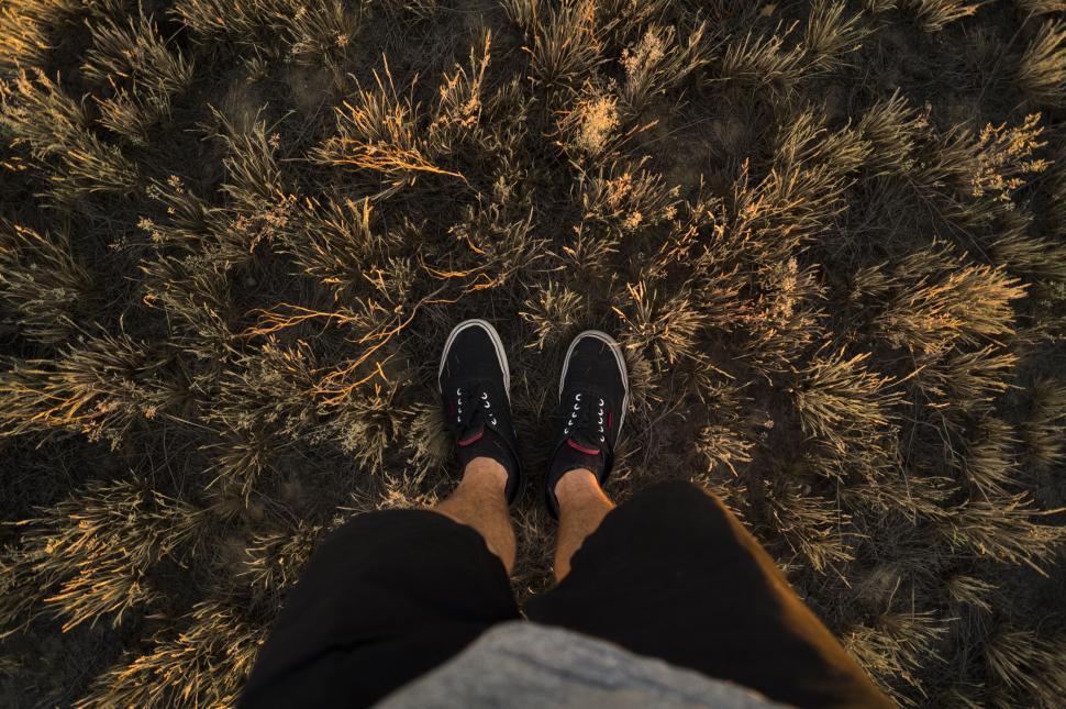 Free Image of Top-down view of person s feet standing on dry grass. 