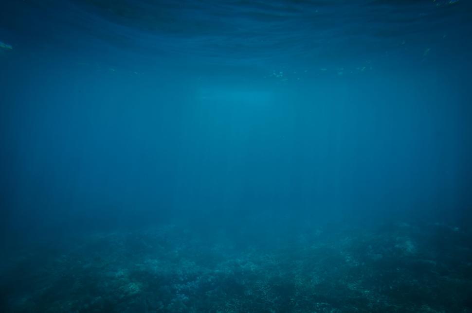 Free Image of A serene underwater scene featuring clear blue water. 