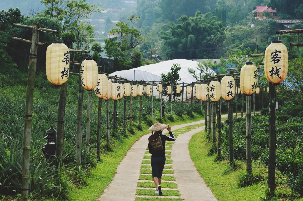 Free Image of Pathway lit with lanterns beside lush greenery landscape 