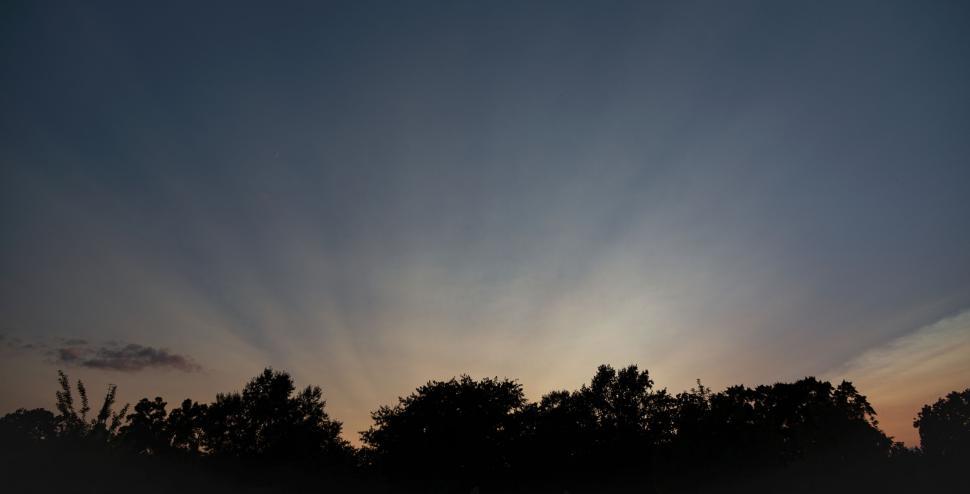 Free Image of Evening sky with trees silhouetted against fading light. 