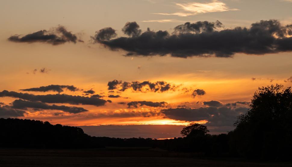Free Image of Beautiful sunset with clouds and silhouette of trees 